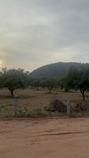 Plot Area in  Plot at Vijayawada One Town – for Sale