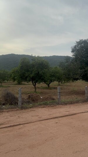 Plot Area in  Plot at Vijayawada One Town – for Sale