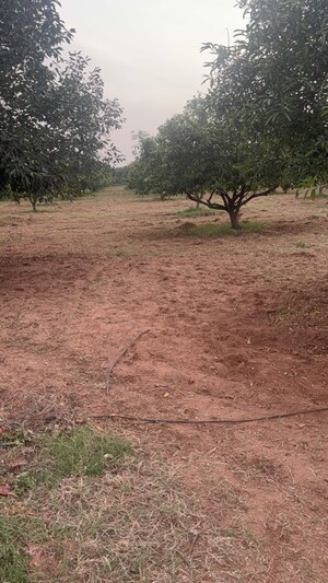 Plot Area in  Plot at Vijayawada One Town – for Sale