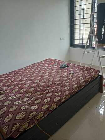 1 BHK + Prayer Room,Servant Room,Study Room,Extra Room,Basement,Store Room Apartment For Rent in Kohinoor Sportsville in Hinjewadi, Pune
