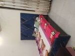 1 BHK 450 Sq.Ft. Builder Floor in Janakpuri