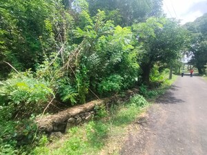  Plot – Garden View at Paravattani - for Sale