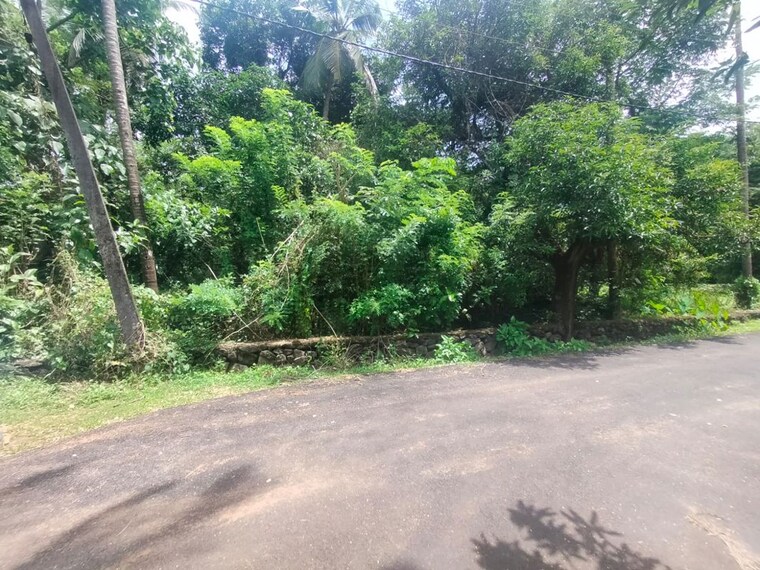 Garden, paravattani  13068 Sq.Ft. Plot In Paravattani Thrissur 10614860