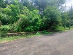 13068 Sq.Ft. Plot in Paravattani