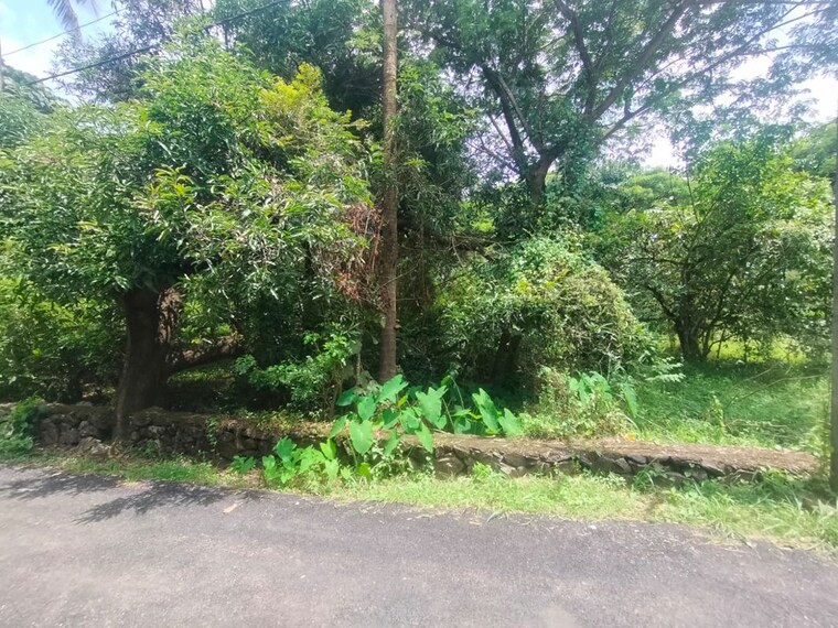 Garden, paravattani  13068 Sq.Ft. Plot In Paravattani Thrissur 10614860