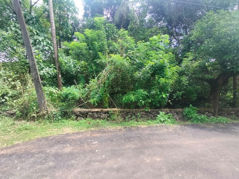Garden, paravattani  13068 Sq.Ft. Plot In Paravattani Thrissur 10614860