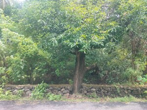  Plot – Garden View at Paravattani - for Sale