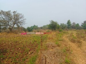 Plot Area in  Plot at Pali – for Sale