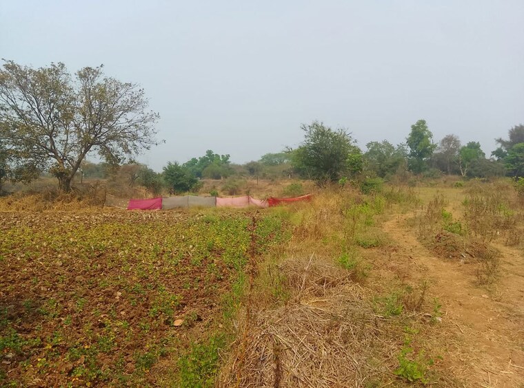 undefined, pali  1089 Sq.Ft. Plot In Pali Navi Mumbai 10614865