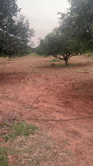 Plot Area in  Plot at Tarapet – for Sale