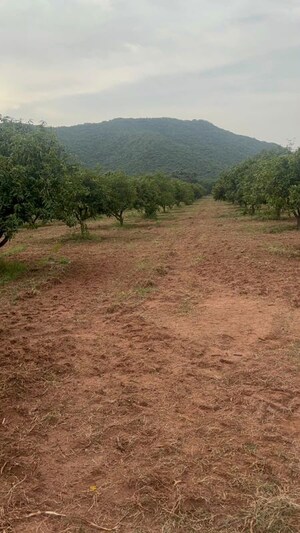 Plot Area in  Plot at Tarapet – for Sale