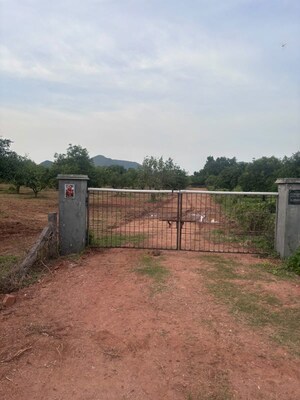   Plot at Tarapet – for Sale