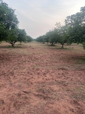 Plot Area in  Plot at Tarapet – for Sale