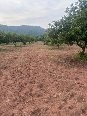 Plot Area in  Plot at Tarapet – for Sale