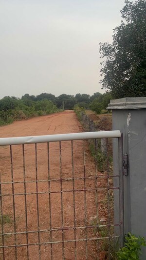 Plot Area in  Plot at Tarapet – for Sale