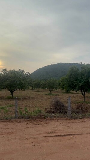 Plot Area in  Plot at Tarapet – for Sale