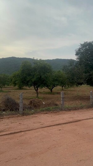 Plot Area in  Plot at Tarapet – for Sale
