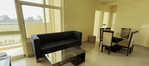 Living Room in 2 BHK Builder Floor at Sector 23 – for Rent