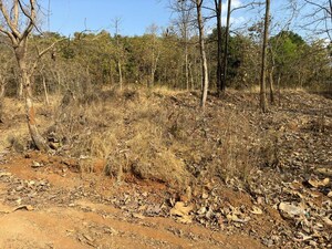 Plot Area in  Plot at Karjat – for Sale