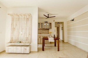 Living Room in 3 BHK Builder Floor at Sector 23 – for Rent