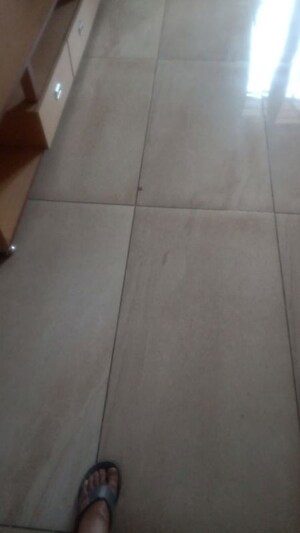 Furnished Amenities in 2 BHK Builder Floor at Ekta Vihar – for Rent