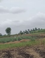 11000 Sq.Ft. Plot in Ashtapur