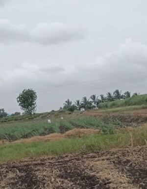  Plot For Sale in Ashtapur
