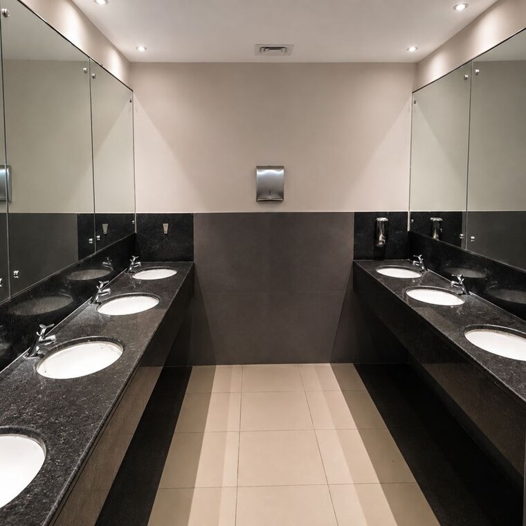 Washroom, kolkatta gpo Commercial Office Space 776 Sq.Ft. In Kolkatta Gpo Kolkata 10615521