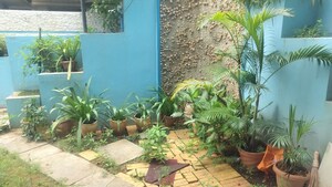 3 BHK Builder Floor – Garden View at Cbi Colony - for Rent
