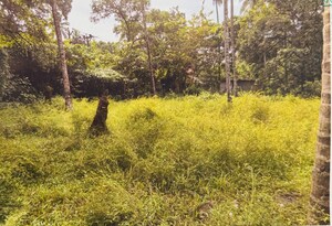  Land For Sale in Vadakara