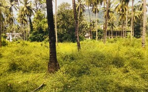  Land – Garden View at Vadakara - for Sale