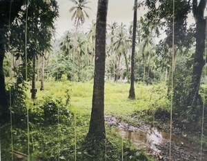 Plot Area in  Land at Vadakara – for Sale