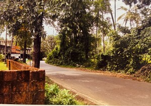  Land – Exterior View View at Vadakara - for Sale