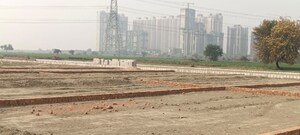 Plot For Sale in Sector 79