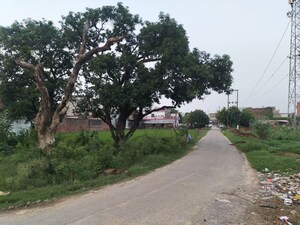   Plot at Sultanpur – for Sale