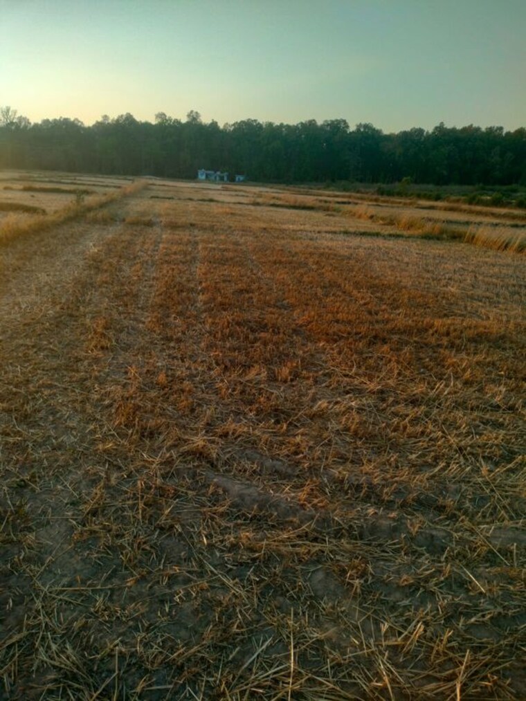 undefined, kalyanpur  100 Sq.Yd. Plot In Kalyanpur Dehradun 10616926