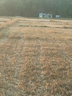 Plot For Sale in Kalyanpur