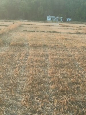  Plot For Sale in Kalyanpur