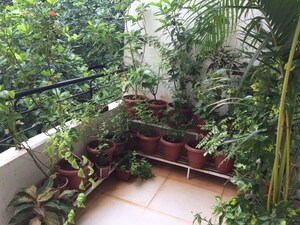 Balcony in 3 BHK Apartment at Bavdhan – for Rent