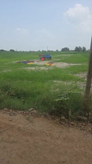 Plot Area in 3.5 BHK Builder Floor at Sector 110 – for Sale