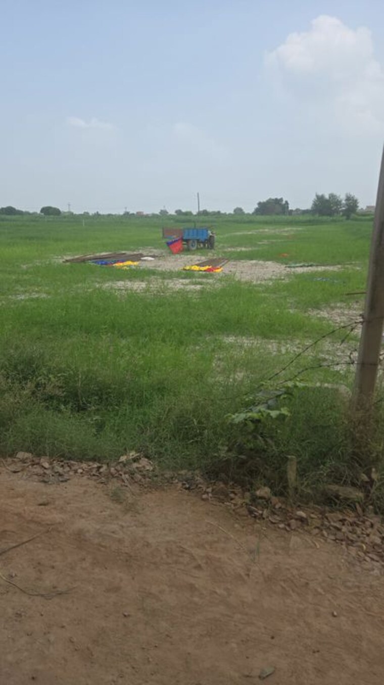 undefined, sector 110 3.5 Bedroom 180 Sq.Mt. Builder Floor In Sector 110 Faridabad 10608398