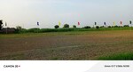 3.5 BHK + Servant Room 180 Sq.Mt. Builder Floor in Sector 110