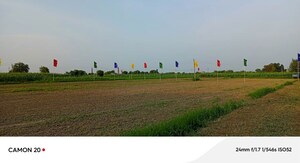 Plot Area in 3.5 BHK Builder Floor at Sector 110 – for Sale