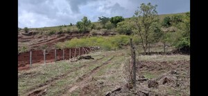 Plot Area in  Plot at Donaje – for Sale