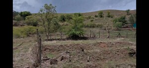  Plot For Sale in Donaje