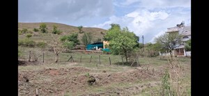 Plot Area in  Plot at Donaje – for Sale