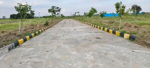 Plot Area in  Plot at Rudraram – for Sale