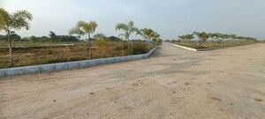 Plot Area in  Plot at Rudraram – for Sale