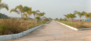 Plot Area in  Plot at Rudraram – for Sale