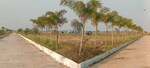 120 Sq.Ft. Plot in Rudraram